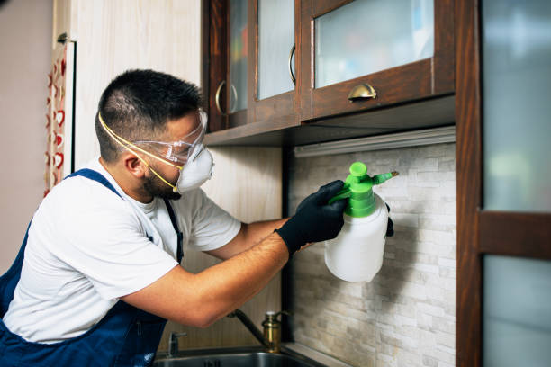 Best Rat Extermination Near Me  in Lakewood, OH