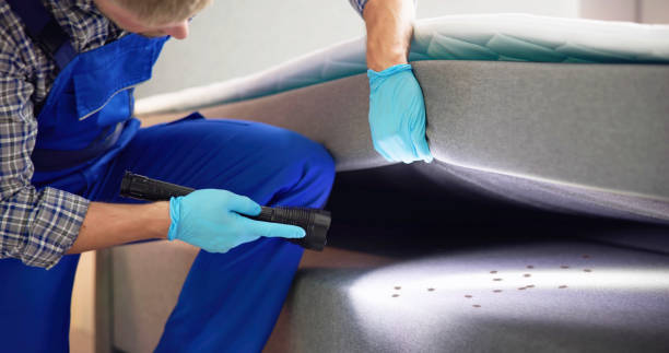 Best Bed Bug Extermination  in Lakewood, OH
