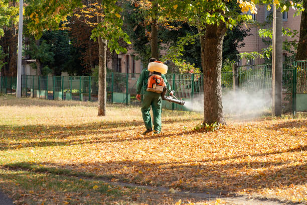 Best Best Pest Control Companies  in Lakewood, OH