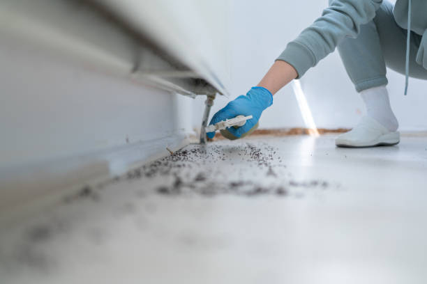 Best Mosquito Control Services  in Lakewood, OH